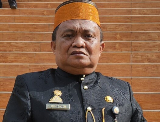 Kepala Dinas Pemberdayaan Masyarakat dan Desa (PMD) Provinsi Sulawesi Selatan (Sulsel), Muhammad Saleh angkat bicara terkait bantuan keuangan desa tahun 2023.