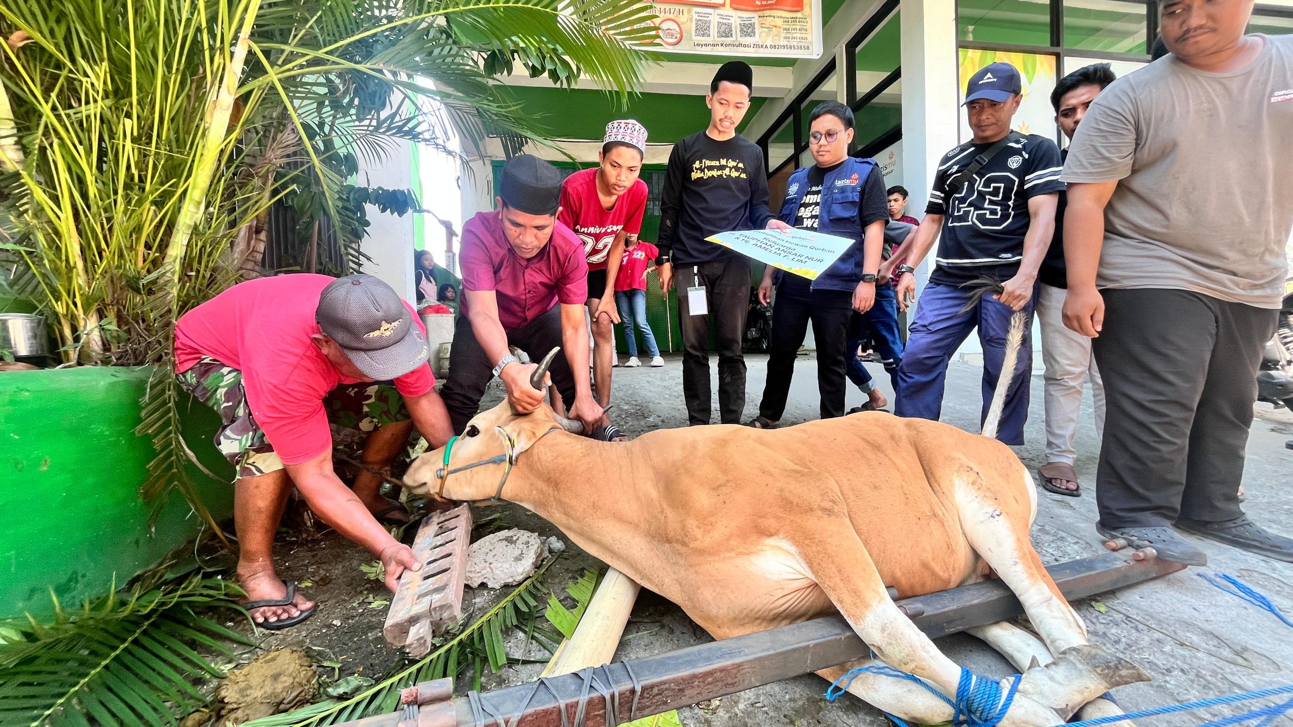 Salah satu suasana prosesi penyembelihan hewan kurban di Kantor Pusdim Makassar, Rabu (27/5/2026).